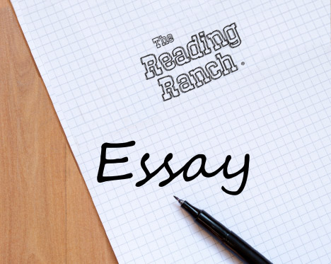 essay template grade 5